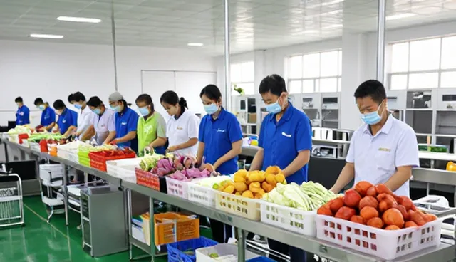 农产品销售支持服务如何提升业务性能